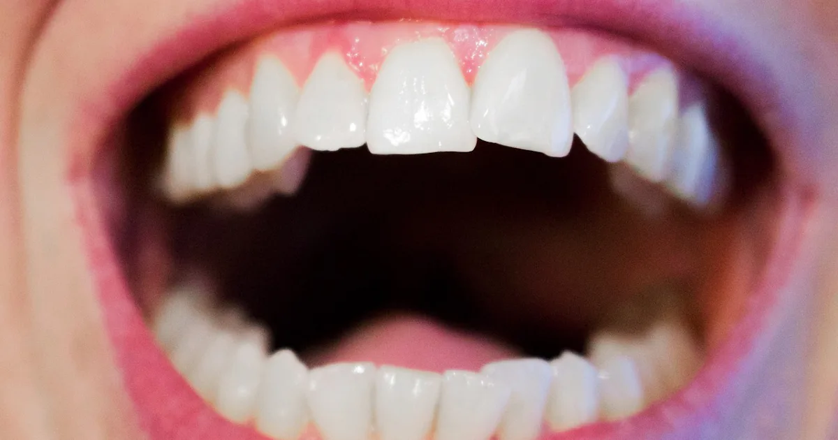 Bussel Teeth 7 Easy Ways To Improve Your Dental Care, According To Experts