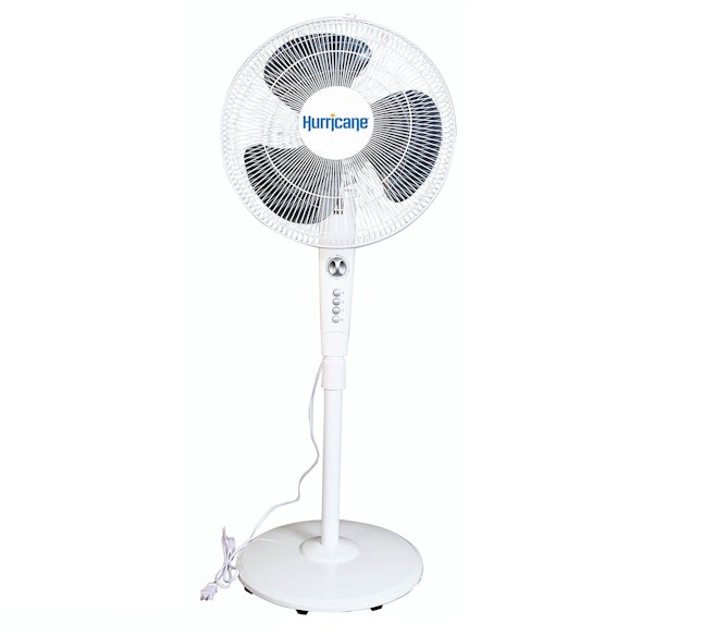 The 10 Best Fans For Summer