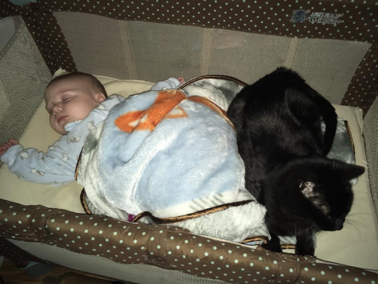 How To Keep Your Cat Out Of Your Kid's Crib, Because Fur Babies