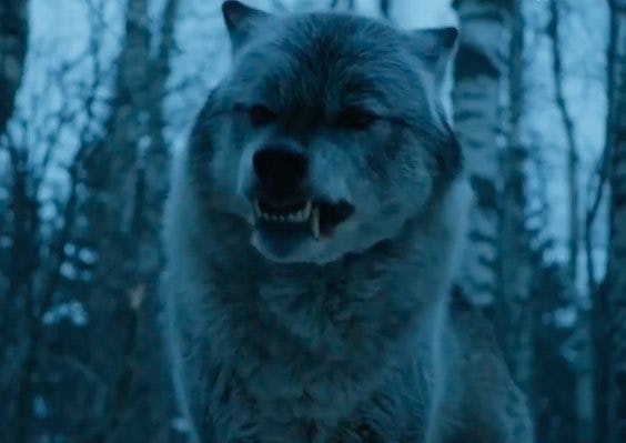 If Nymeria & Arya Reunite On 'Game Of Thrones,' Her Direwolf Better Not ...