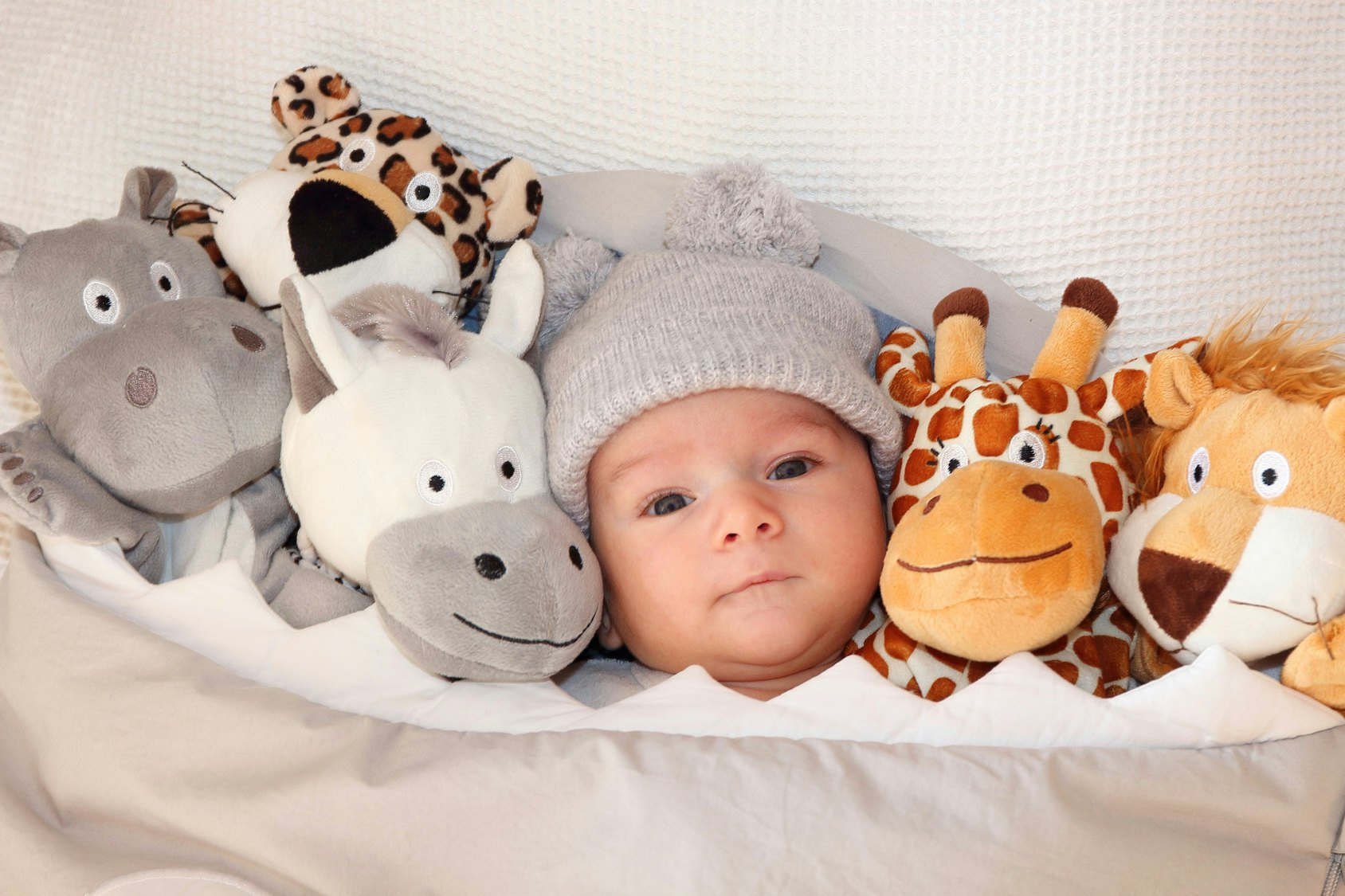 babies and stuffed animals
