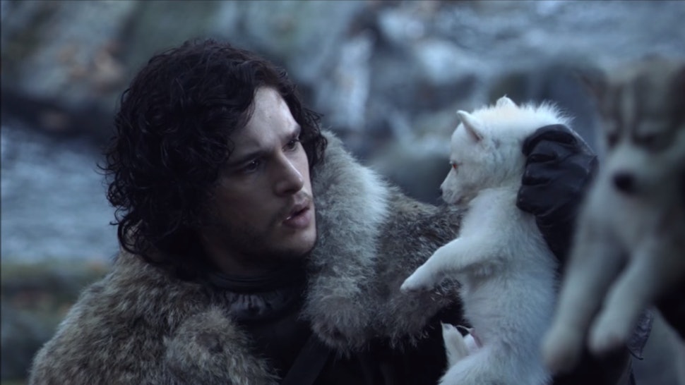 Is Ghost Still Alive On Game Of Thrones Jon Snow S Direwolf Is Mia