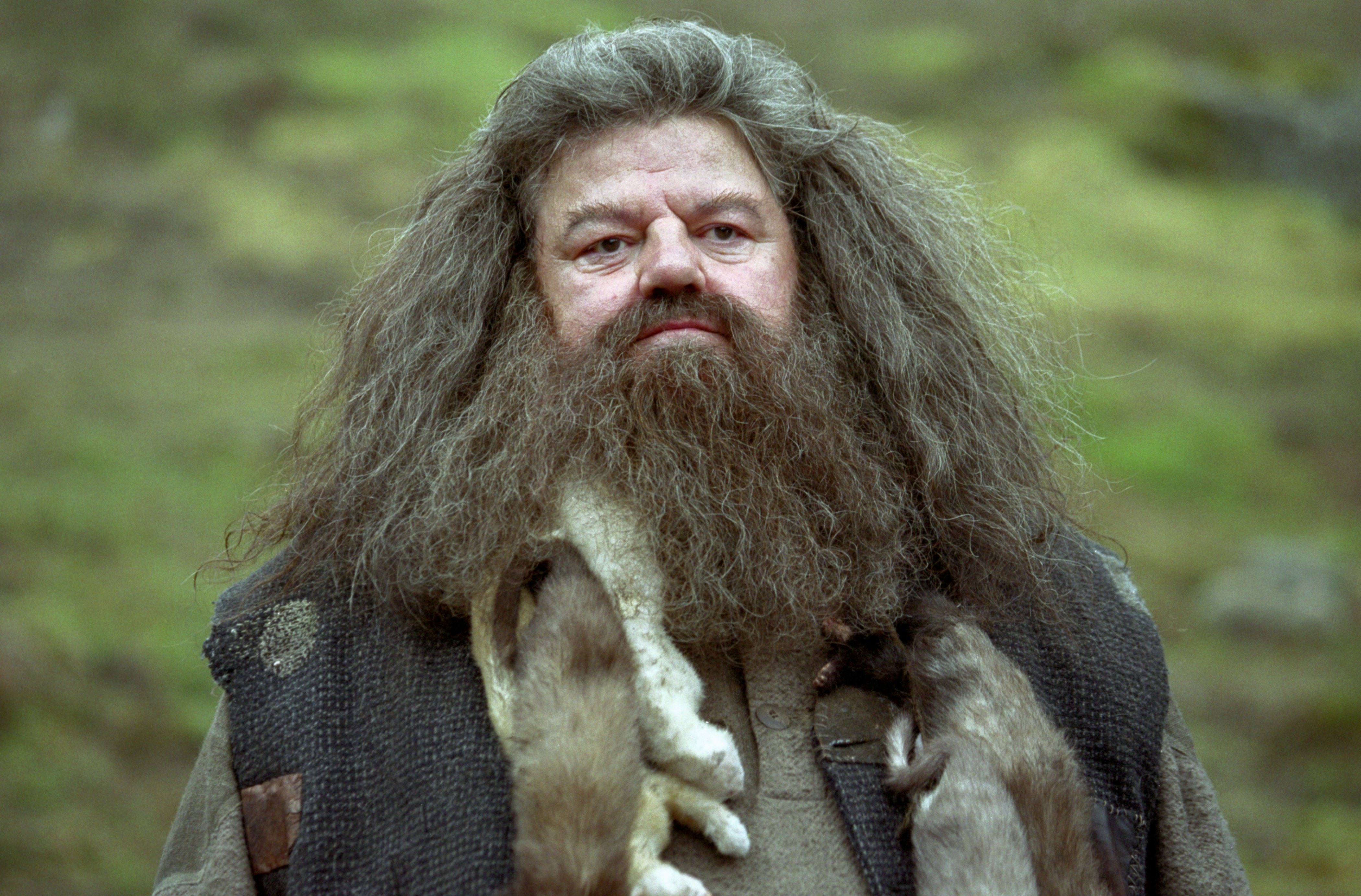 hagrid actor in real life