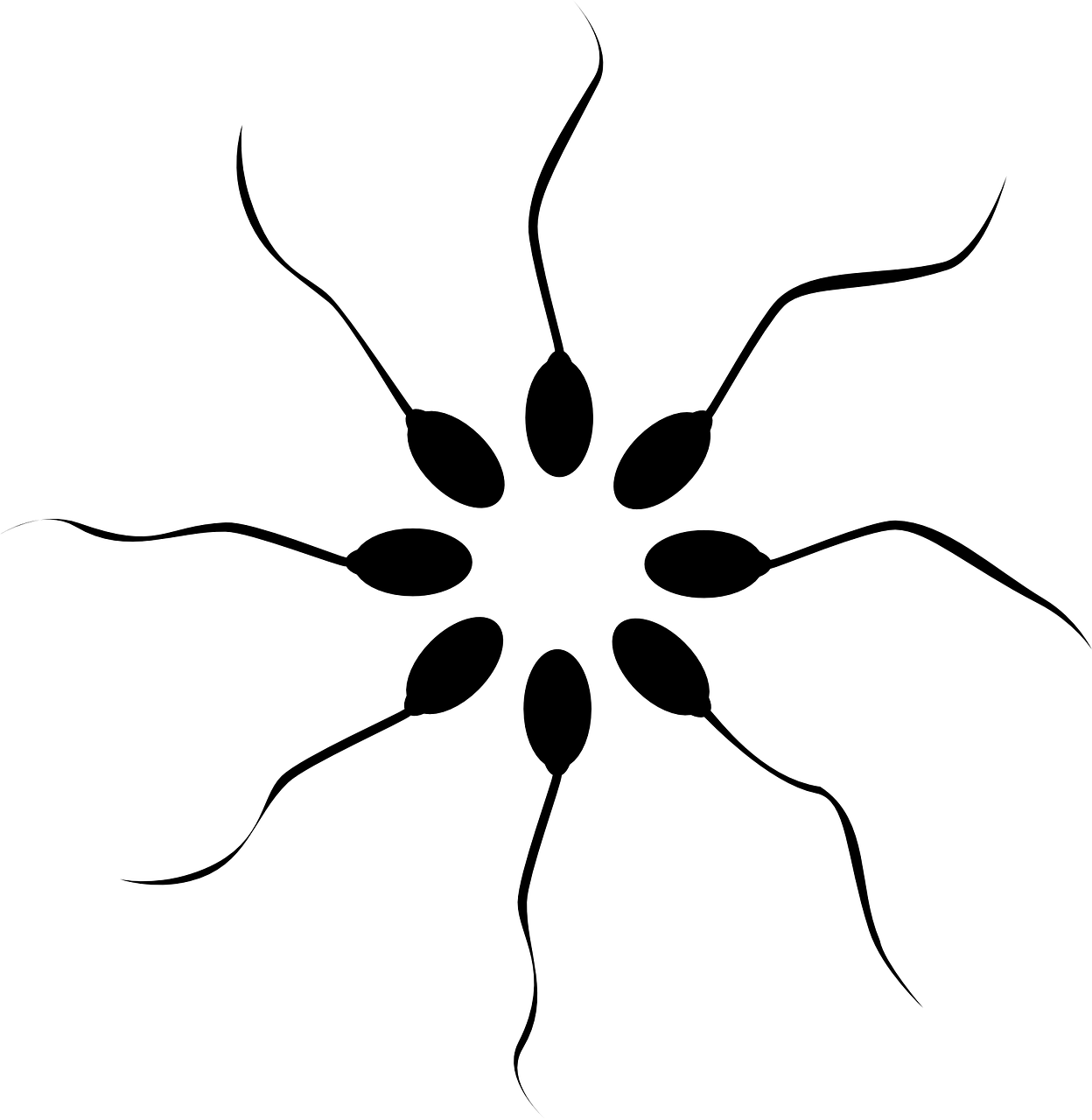 How Long Does Sperm Stay Alive? Longer Than You Think