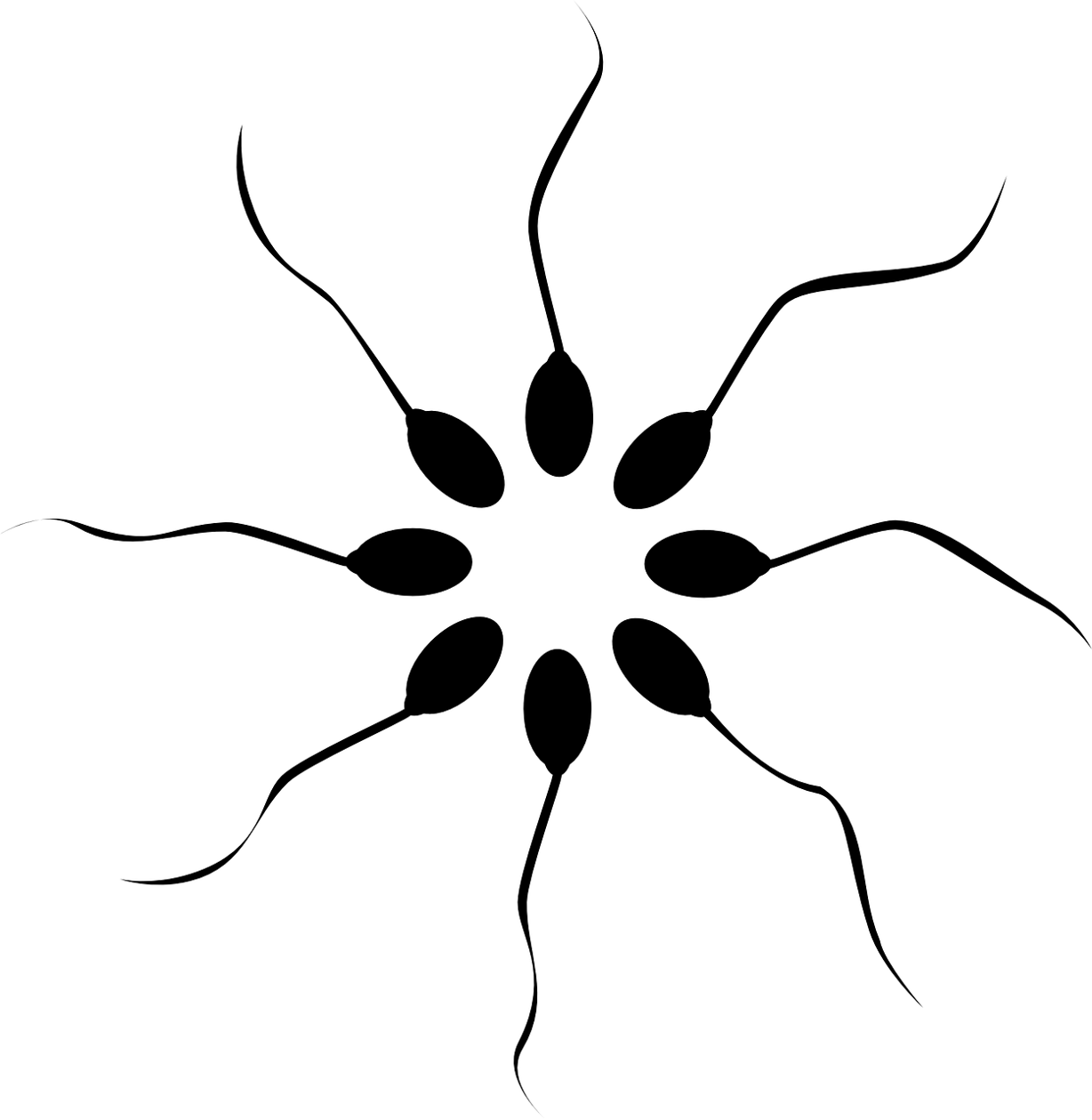 How Long Does Sperm Stay Alive? Longer Than You Think