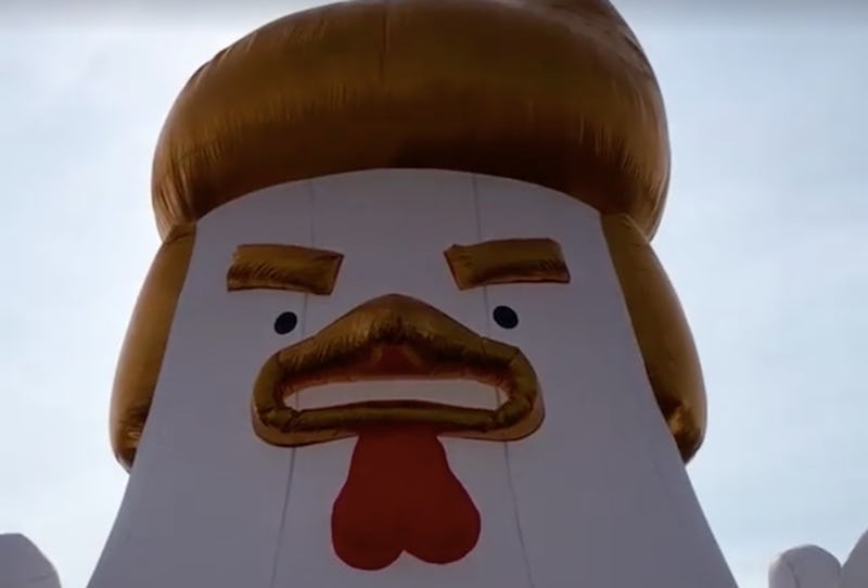 These Trump Chicken Memes Tweets Are Funny Enough To Make The President Squawk