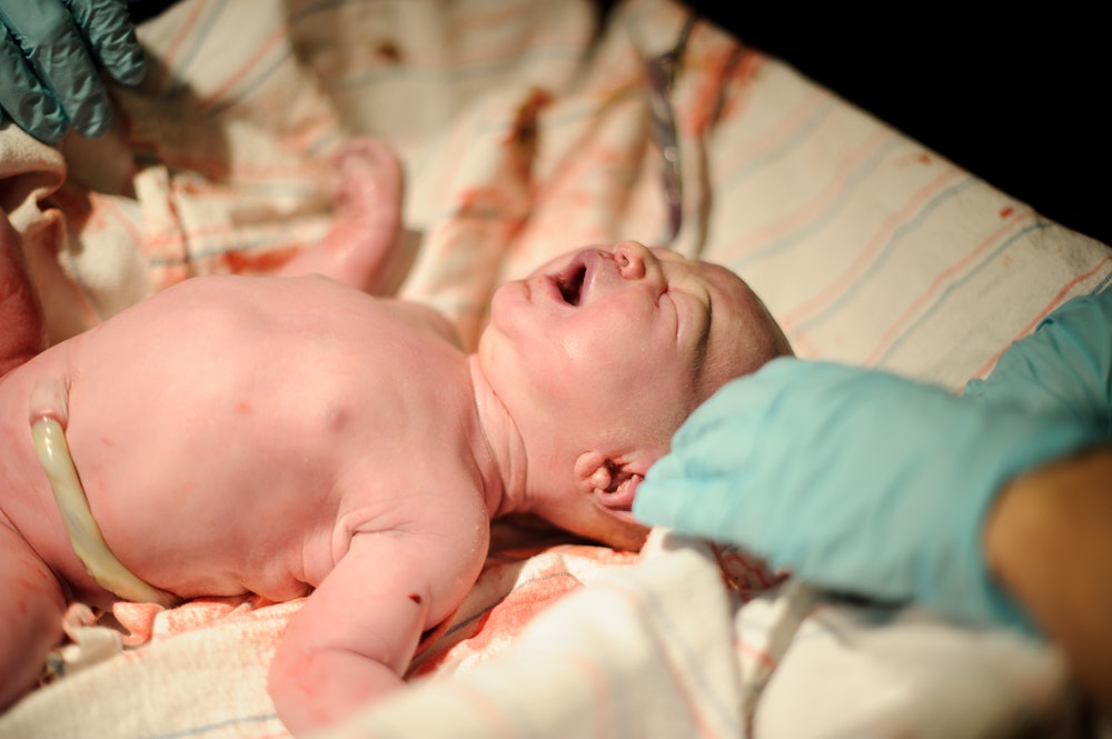 All about the placenta and umbilical cord - Today's Parent