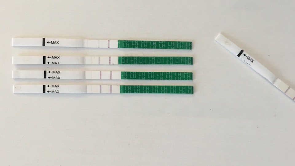 Positive Ovulation Test But No Cervical Mucus Help Netmums