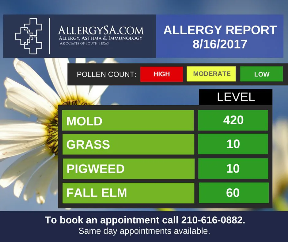 Google’s New Pollen Forecast Is Here To Save Your Allergy Season