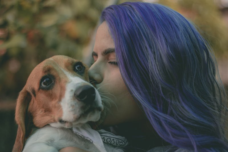 What Dogs And The Doggo Meme Can Teach Us About Inclusion And Consent