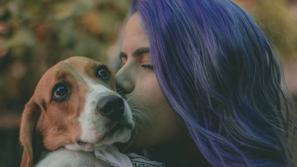 What Dogs And The Doggo Meme Can Teach Us About