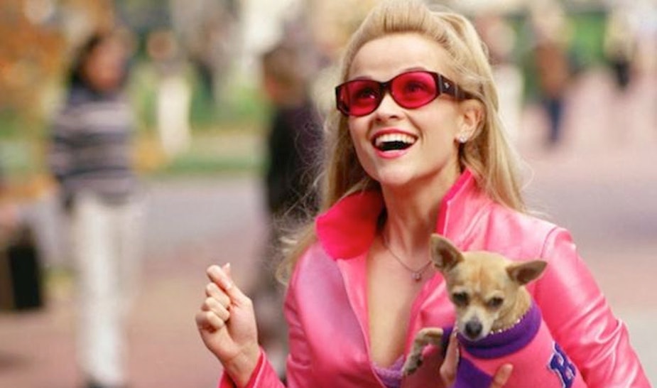 9 Legally Blonde Quotes That Are Super Outdated Today