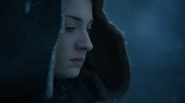 Why Did Arya Sansa Kill Littlefinger On Game Of Thrones The Starks Were United The Whole Time