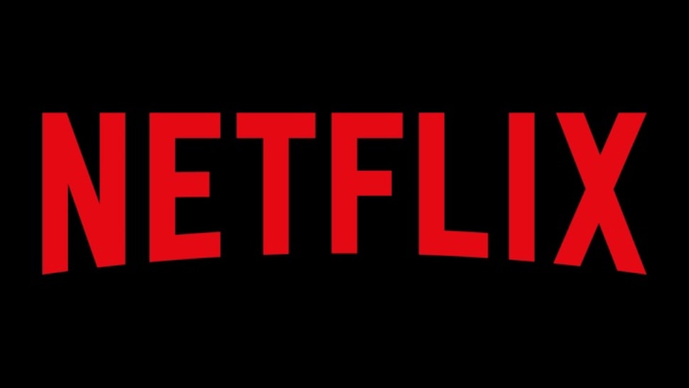 Image result for netflix logo"