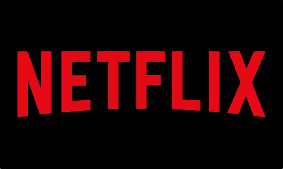 Image result for netflix logo