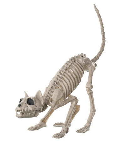 Targetâs New Halloween Collection Is Full Of Items So Scary & Adorable You Wonât Know Whether To