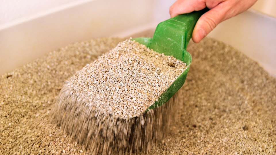 Can You Clean Your Cat S Litter Box If You Re Breastfeeding Science Weighs In