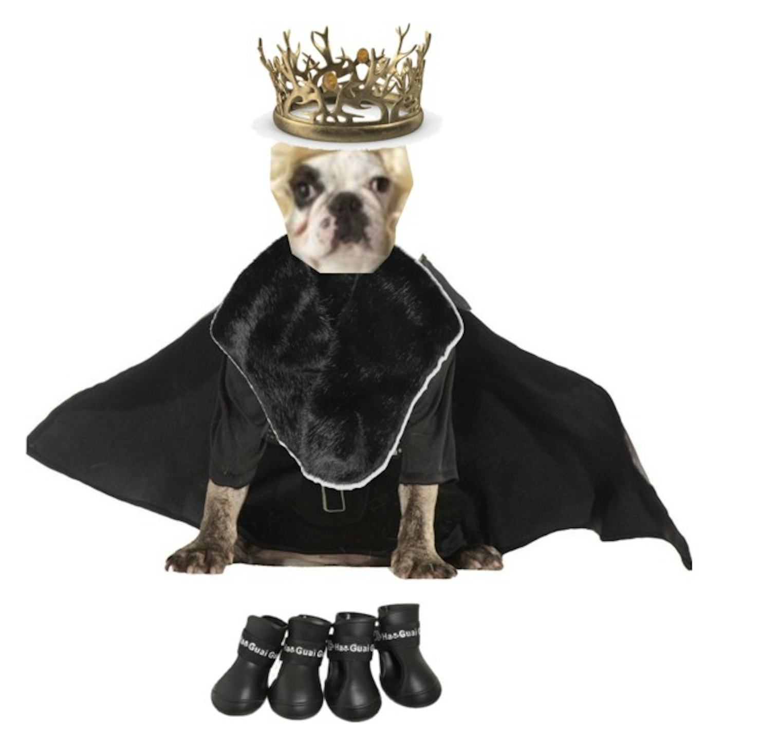 Adorable 'Game Of Thrones' 2017 Halloween Costume Ideas For Your Dog