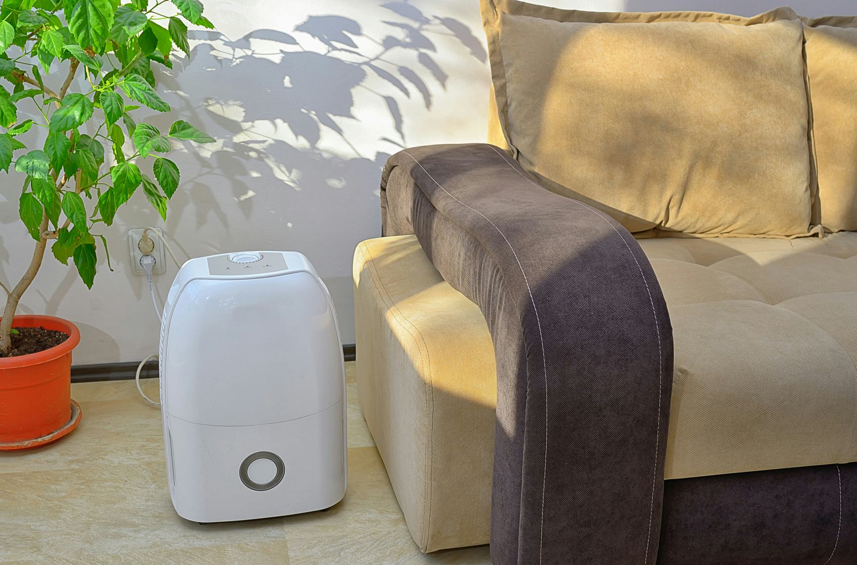 The 5 Quietest Dehumidifiers