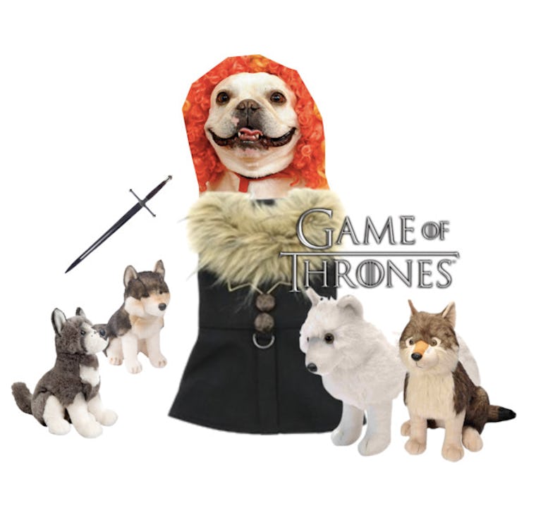 Adorable 'Game Of Thrones' 2017 Halloween Costume Ideas For Your Dog