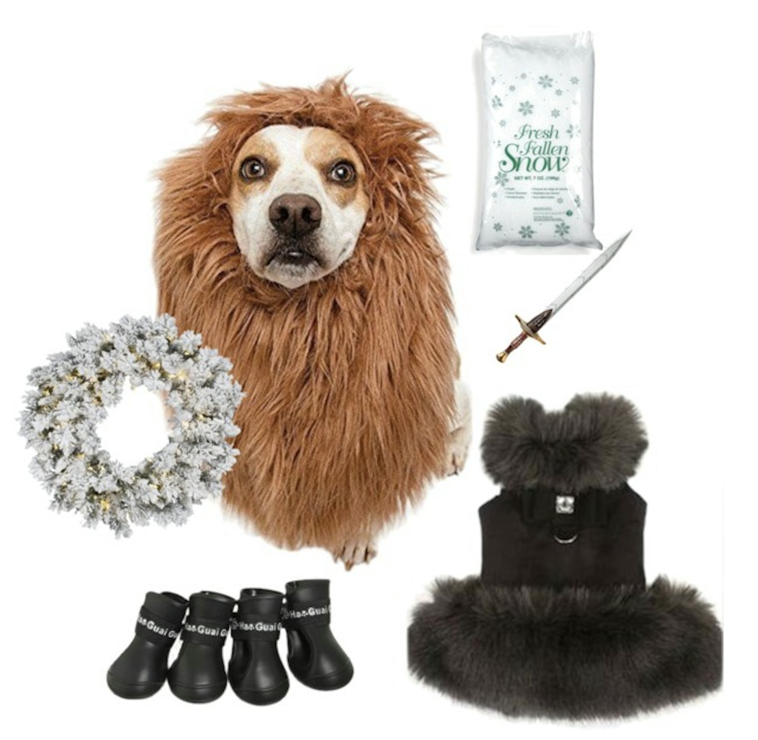Adorable 'Game Of Thrones' 2017 Halloween Costume Ideas For Your Dog