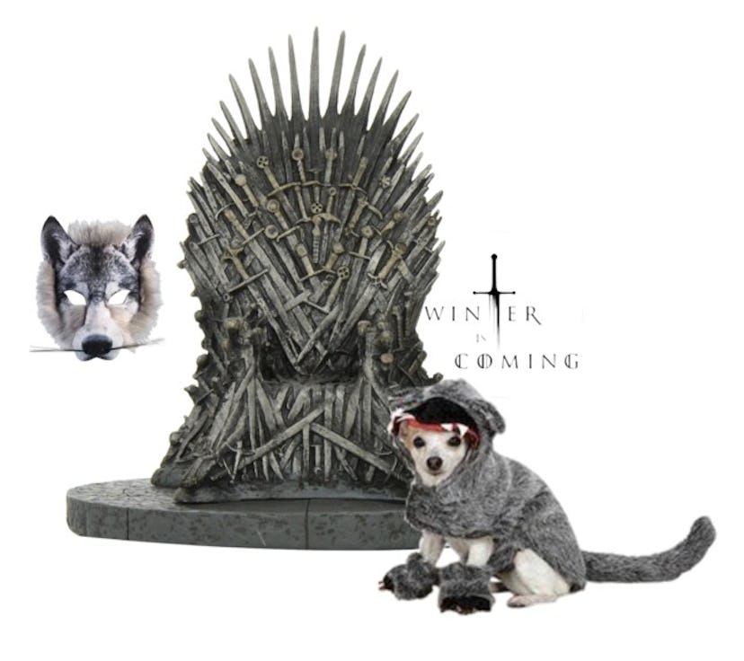 Adorable 'Game Of Thrones' 2017 Halloween Costume Ideas For Your Dog