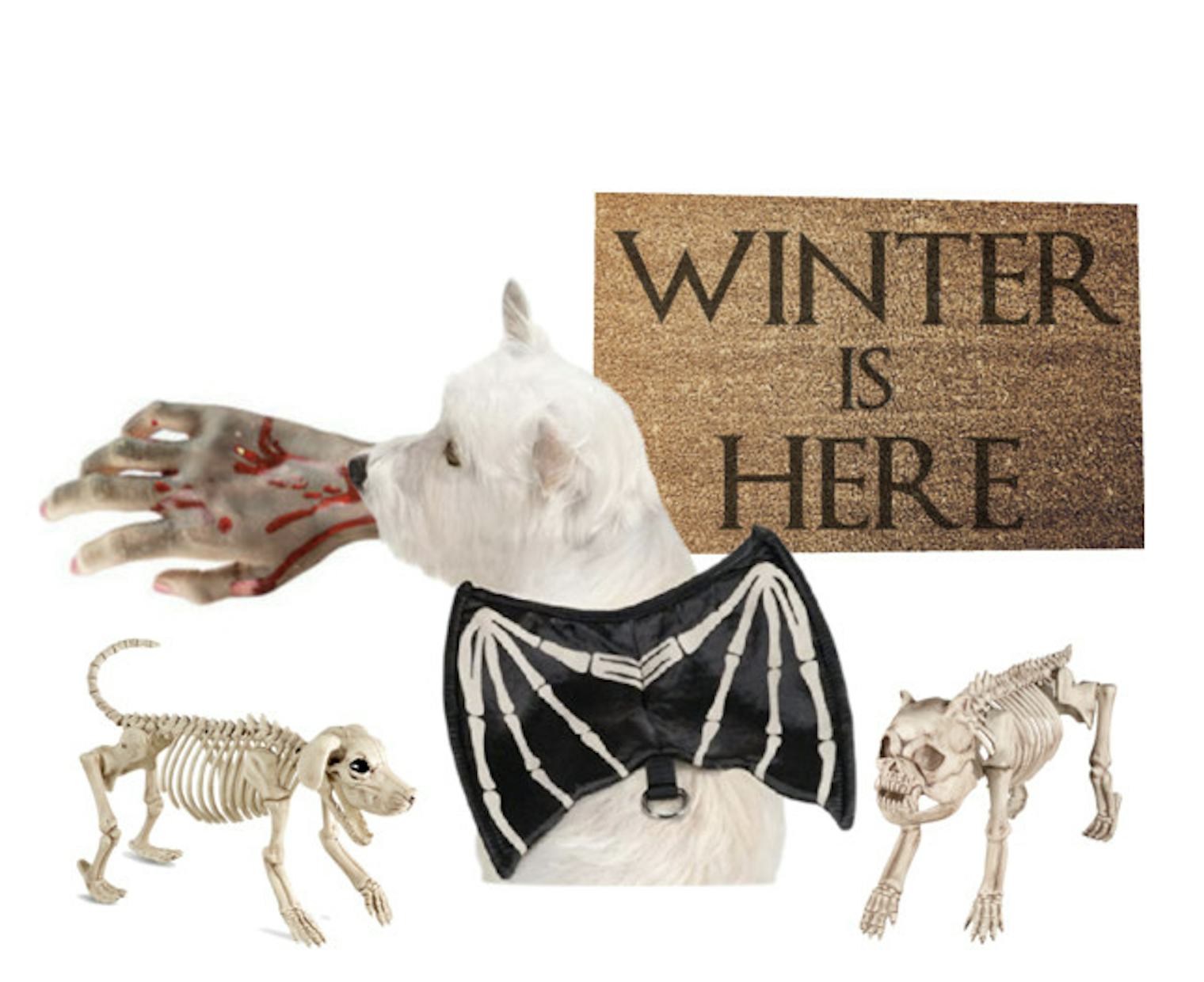 Adorable 'Game Of Thrones' 2017 Halloween Costume Ideas For Your Dog