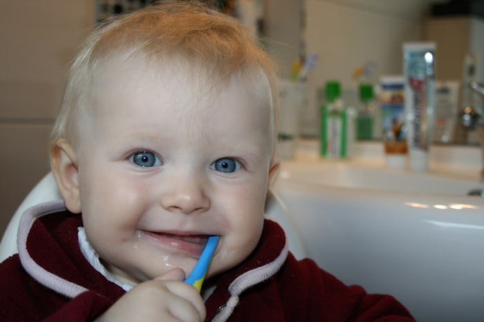 A baby who is over one years old, chewing on a toothbrush as its first tooth comes out