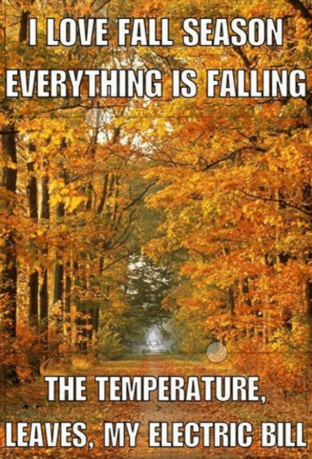 Fall Memes For 2017 That Will Get You In The Pumpkin Spice Latte