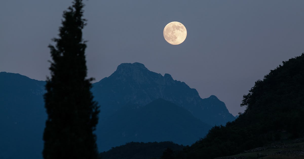 What Does It Mean If You Give Birth During A Full Moon Your Baby S Not A Werewolf What Does It Mean If You Give Birth During A Full Moon Your Baby S Not A Werewolf