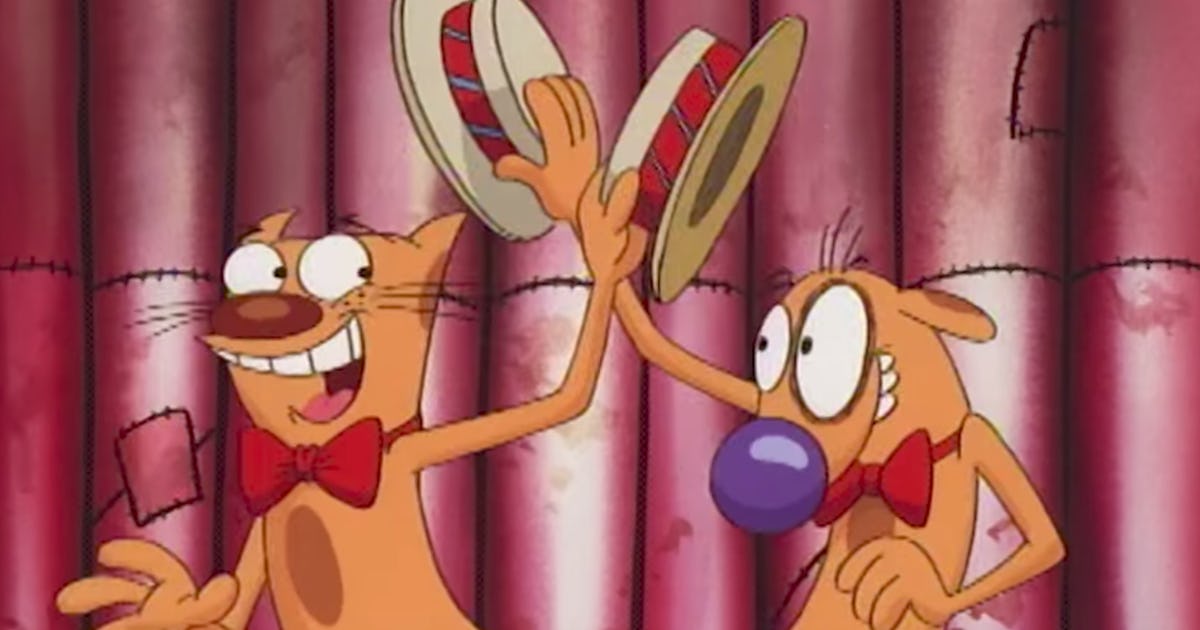 Cat and online dog show