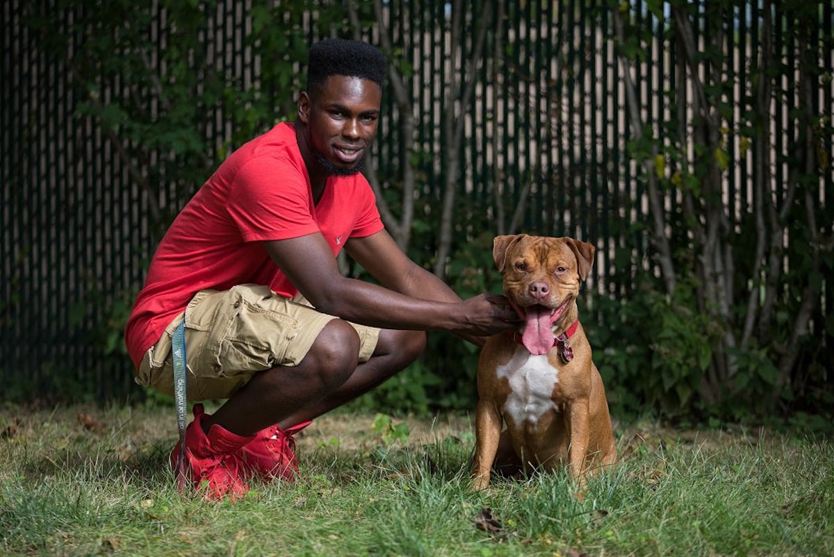 7 Animal Shelters To Volunteer At In Nyc To Make More Than One Fur Babies Day