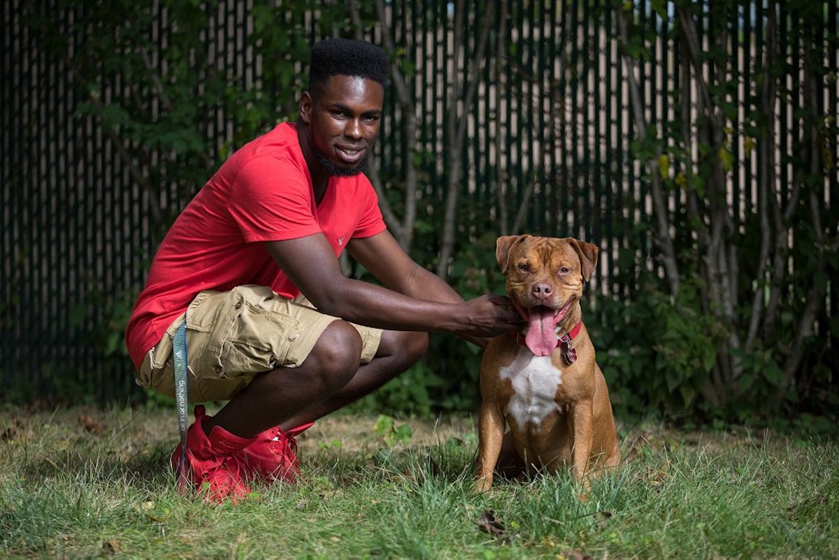 7 Animal Shelters To Volunteer At In Nyc To Make More Than One Fur Babies Day 7 Animal Shelters To Volunteer At In Nyc To Make More Than One Fur Babies Day