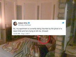 What Is Dear David Here Is Everything Writer Adam Ellis Has Tweeted About His Haunted Apartment From Start To Finish