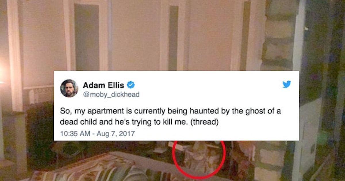 What Is Dear David Here Is Everything Writer Adam Ellis Has Tweeted About His Haunted Apartment From Start To Finish