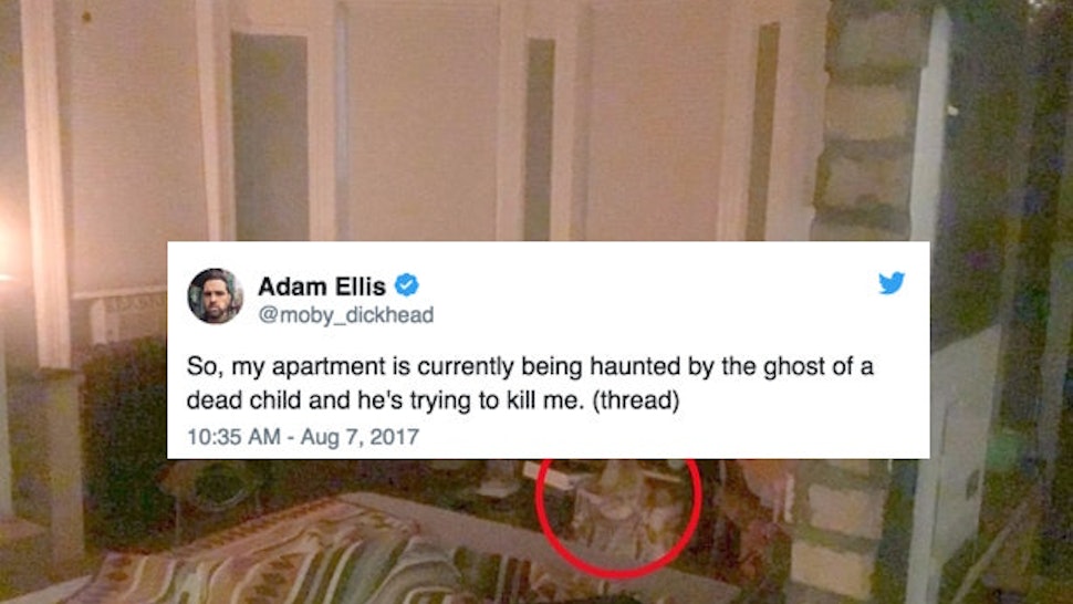 What Is Dear David Here Is Everything Writer Adam Ellis