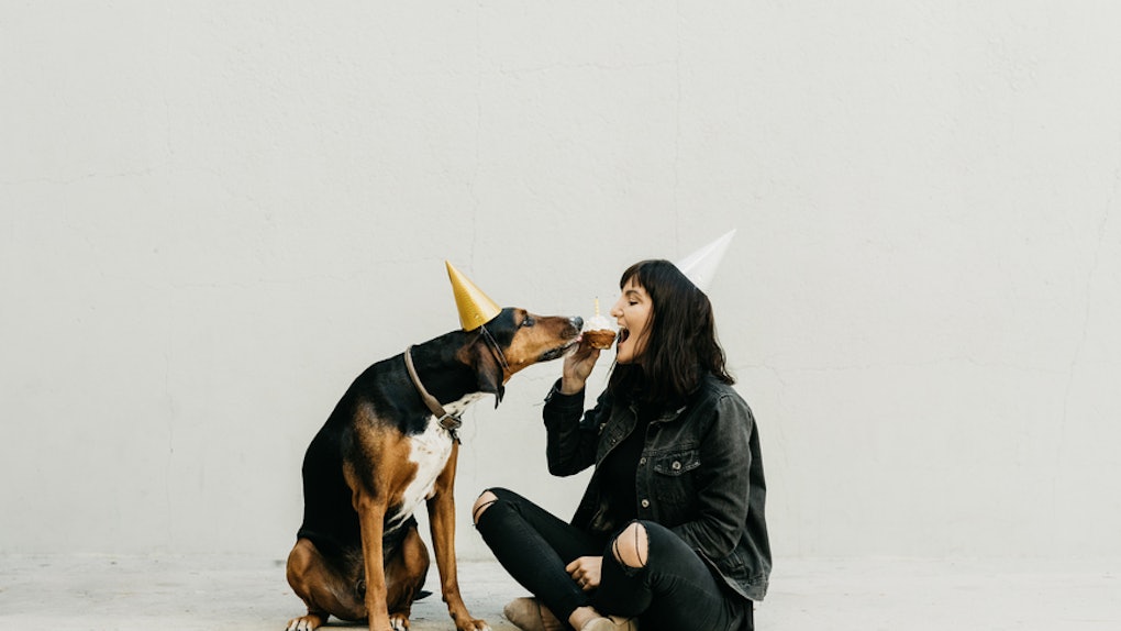 22 Instagram Caption For Dog S Birthday That Are Pawsitively Adorable