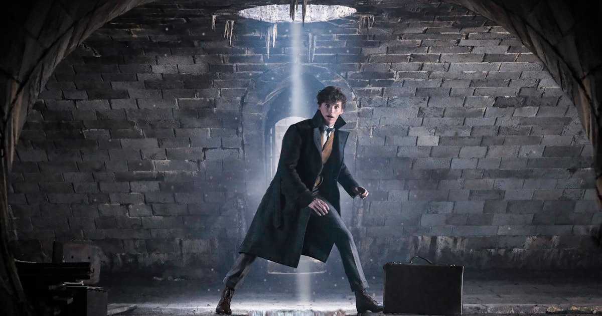 The New 'Fantastic Beasts 2' Newt Photos Will Make You Fall In Love