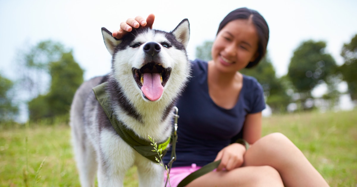 28 Captions For Pictures With Your Dog That Are Pawsitively Adorable