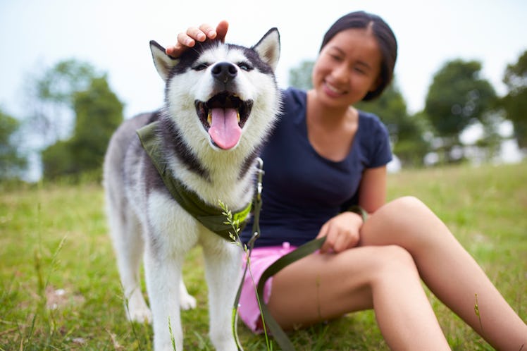 Young woman petting her husky puppy before posting a pic with dog Instagram captions.