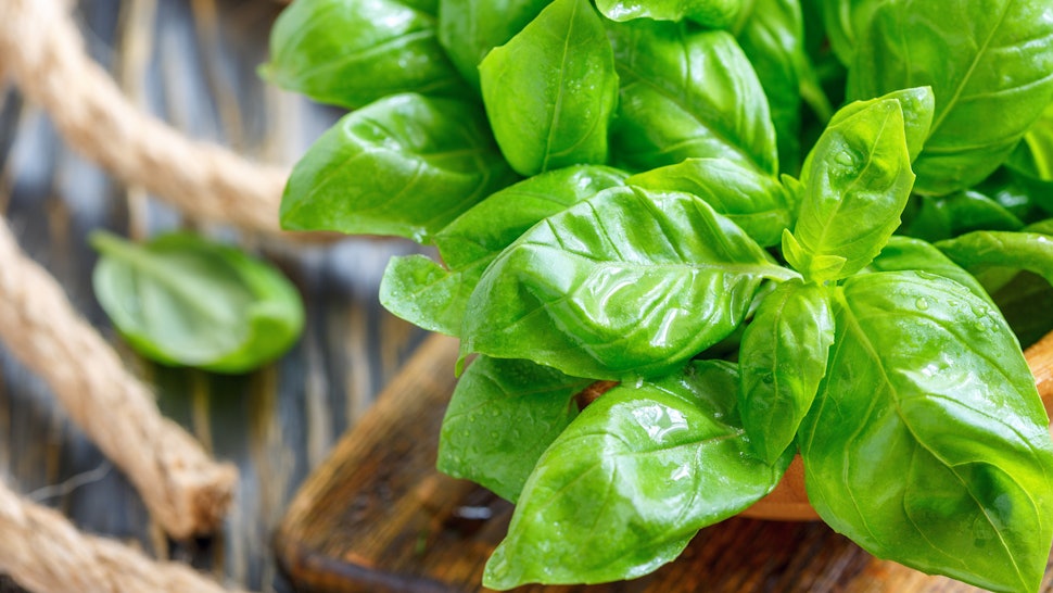 Image result for basil healing