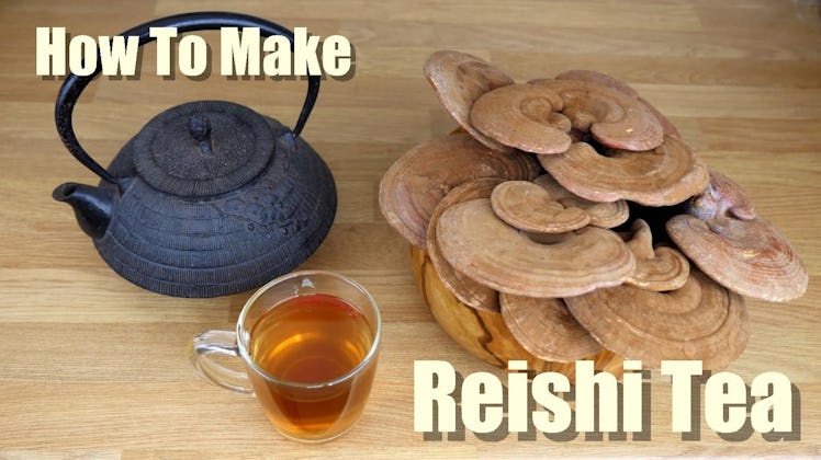 A tea cup, glass, reishi fungus, and "how to make reishi tea" text