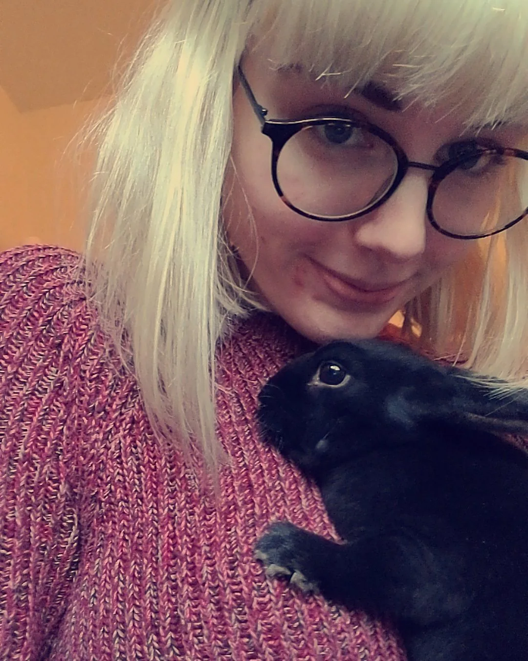 7 Best Pets To Get When You're Single & In Need Of A Sweet Furever Friend