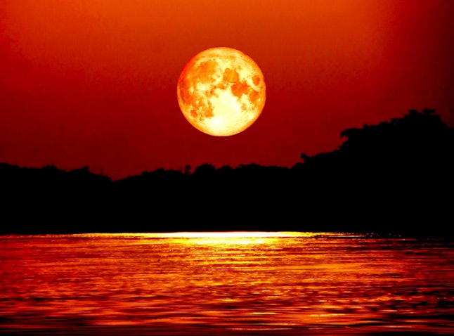 What Does A Super Blue Blood Moon Mean For Your Sign? January 2018's ...