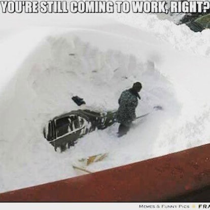 10 Best Snow Blizzard Memes That'll Keep You Warm From Laughing So Hard