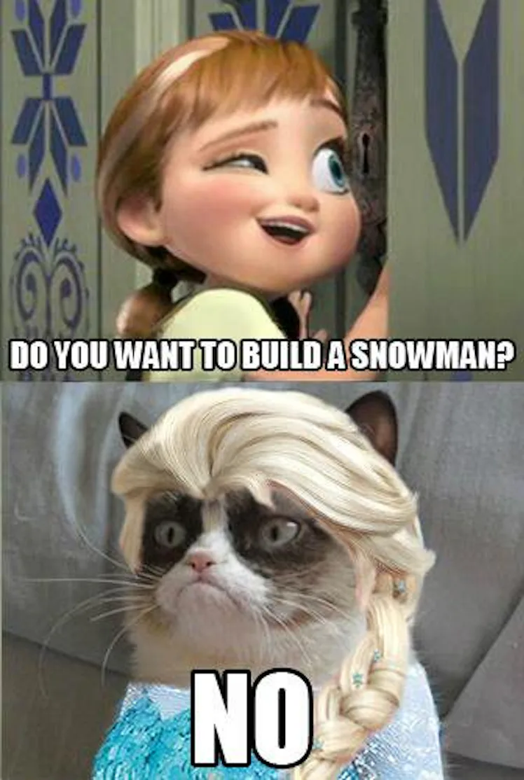 Grumpy Face Cold Weather 12 Memes About Winter That Even Elsa From 'Frozen' Would Agree With