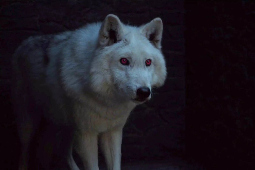 This Got Season 8 Theory About Ghost Could Be A Key Part Of The