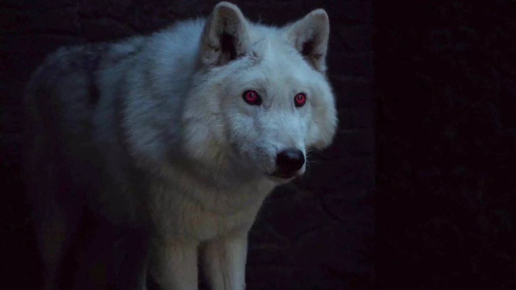This Got Season 8 Theory About Ghost Could Be A Key Part Of The