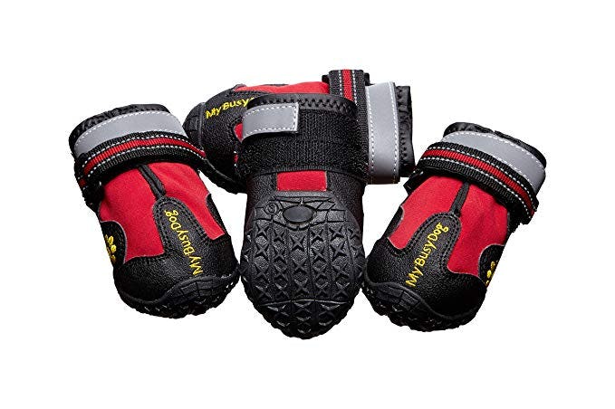 The 5 Best Dog Winter Boots