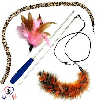 Pet Fit For Life Multi-Feather Teaser and Exerciser